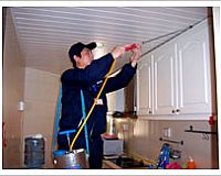 ���ĺ������󡢜�ω������������룩